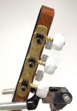 ASTURIAS CUSTOM S(650)_8