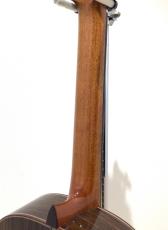 ASTURIAS CUSTOM S(650)_9