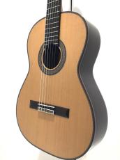 ASTURIAS CUSTOM C(630)