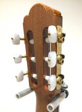 ASTURIAS CUSTOM C(630)_7