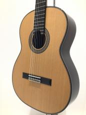 ASTURIAS RENAISSANCE/C