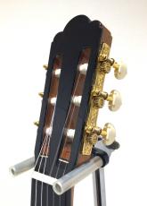 ASTURIAS RENAISSANCE/C_3