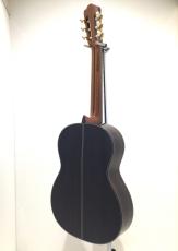 ASTURIAS RENAISSANCE/S_5