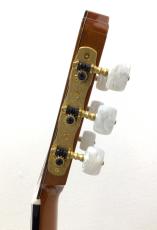 ASTURIAS TSUJI S-2_9