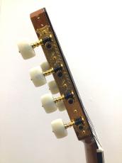 ASTURIAS 7-STRING_10