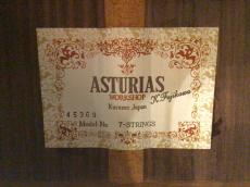 ASTURIAS 7-STRING_11