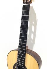 ASTURIAS Traditional Works No.25_4