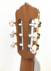 ASTURIAS Traditional Works No.25_7