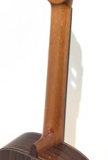 ASTURIAS Traditional Works No.25_8