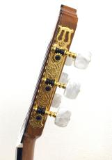 ASTURIAS Traditional Works No.25_9