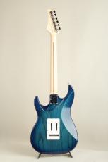 FUJIGEN EOS2-ASH-M/SBBU/ See-Thru Blue Burst【S/N J240041】_4