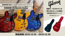 Gibson ES-335 Figured Antique Natural【S/N:226130340】_10