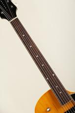 KING SNAKE Curtis Deep Body Amber Natural S/N:CD-037_8