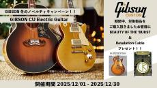 Gibson Les Paul Custom Copper Penny Gloss #CS500336_10