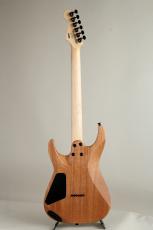 Charvel Pro-Mod DK24 HH HT E Mahogany with Poplar Burl, Ebony Desert Sand【S/N MC25003461】_4