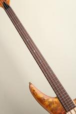 Jackson PRO SERIES SPECTRA BASS SBP IV Firestorm Fade【S/N ICJ2402709】_5