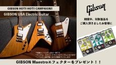 Gibson Non-Reverse Thunderbird Ebony【S/N 234030062】_10
