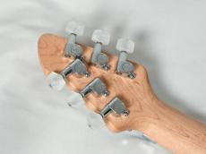 PEAVEY 【Wolfgangの進化版!】HP2 Black TR【即納可能】【4.00kg】_9