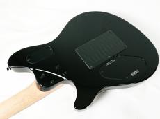 PEAVEY 【Wolfgangの進化版!】HP2 Black TR【即納可能】【4.00kg】_11