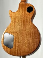 Tokai LS-201S/WA-CM2 -Gold Top-【4.07kg】【名古屋店オーダーモデル】_6