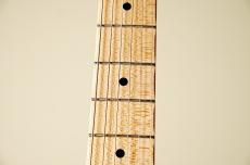 Truth TST-201 -2 Tone Sunburst- [3.54kg]_5