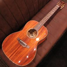 Takamine PTU431K N【スロテッドヘッド】_2