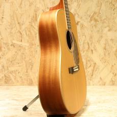 Larrivee D-03E 2014_4