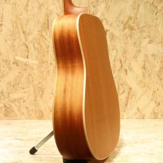 Larrivee D-03E 2014_5