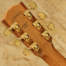 Gibson Songwriter Standard EC_9