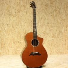 Breedlove C25 Custom_3