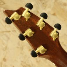 Breedlove C25 Custom_9