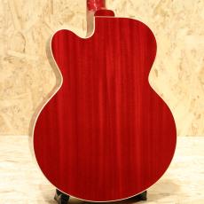 Gibson Les Paul Parlor Aoustic VCS_2