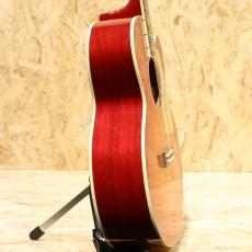 Gibson Les Paul Parlor Aoustic VCS_4