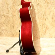 Gibson Les Paul Parlor Aoustic VCS_5