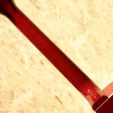 Gibson Les Paul Parlor Aoustic VCS_7