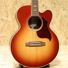 Gibson Parlor Rosewood EC Rosewood Burst