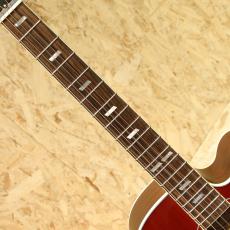 Gibson Parlor Rosewood EC Rosewood Burst_6