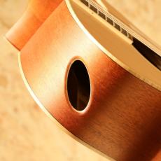 Maestro Guitars SINGA MH CSB C_10