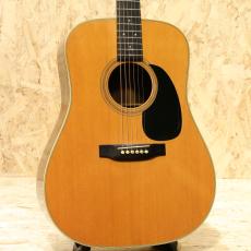 Martin D-76 1976