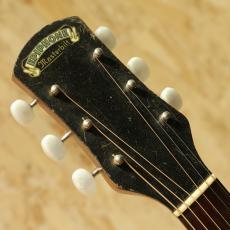 Epiphone Olympic 1935_8