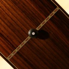 SHANTI GUITARS SF_10