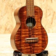 Seilen SLC-295J/cst 2010s