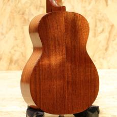 Seilen SLC-295J/cst 2010s_2