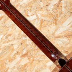 James Frieson Style-000/12fret 2023_7