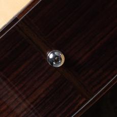 Larrivee LV-10 TAMBOURINE LADY_10