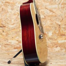 Gibson Hummingbird Original AN_4