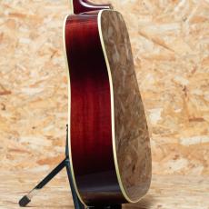 Gibson Hummingbird Original AN_5