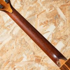 Taylor C14ce Grand Auditorium Custom 2024_7