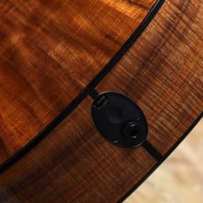 Taylor C12ce 12-Fret Grand Concert Custom 2024_11