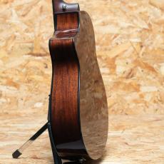 Breedlove Wildwood CA Suede CE 2020's_5